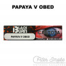 Табак Black Burn - Papaya v Obed (Папайя) 25 гр Табак Black Burn - Papaya v Obed (Папайя) 25 гр